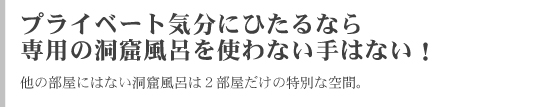 ̥��Ū�ʤɤ�����