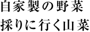 自家製の野菜採りに行く山菜