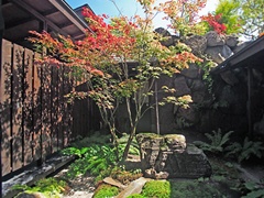 内庭の紅葉の写真